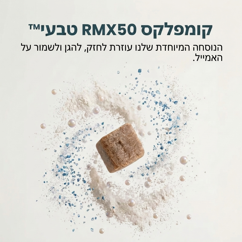 תמונה 6